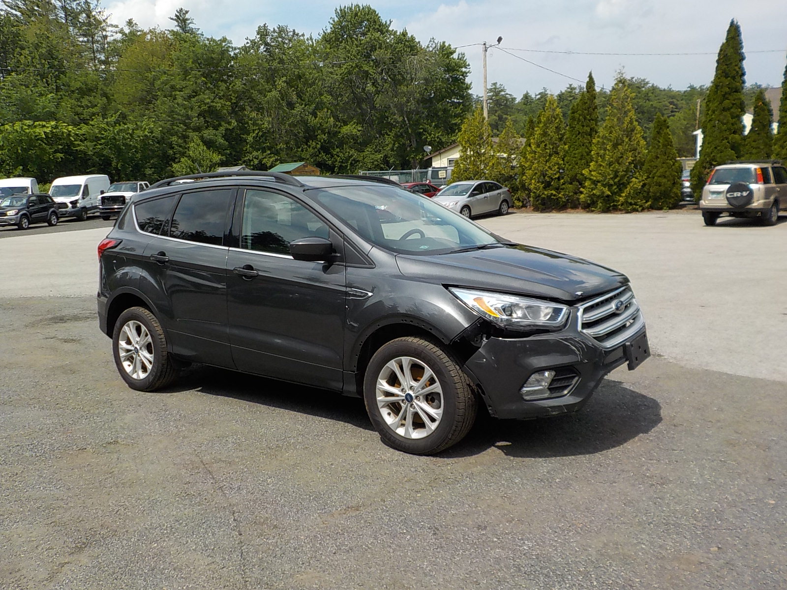 Salvage Ford Escape Image