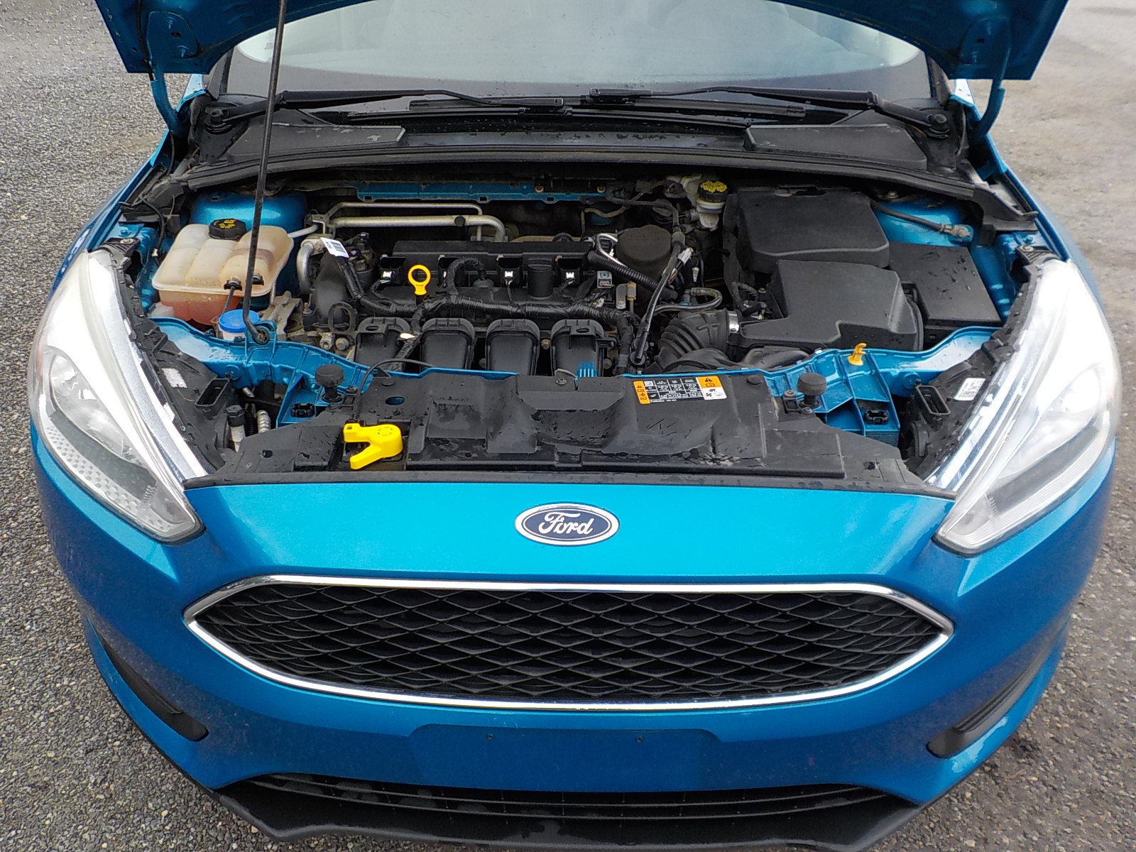 Ford Focus Image 12