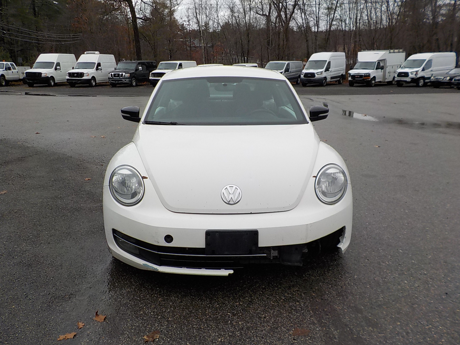 Volkswagen beetle Image 2