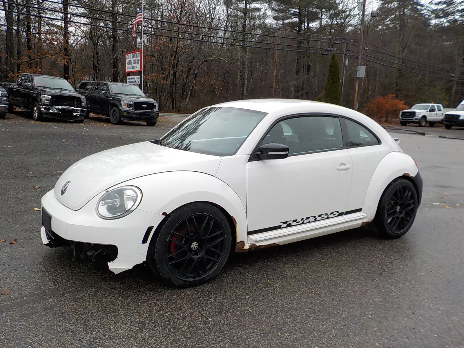 Volkswagen beetle Image 3