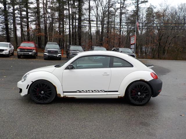 Volkswagen beetle Image 4