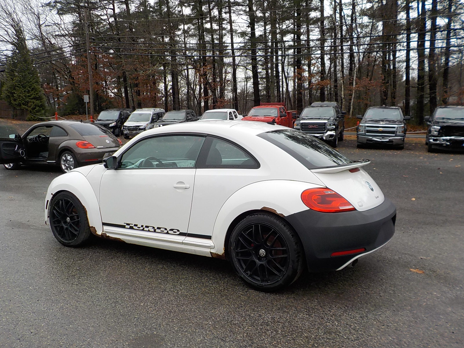 Volkswagen beetle Image 5