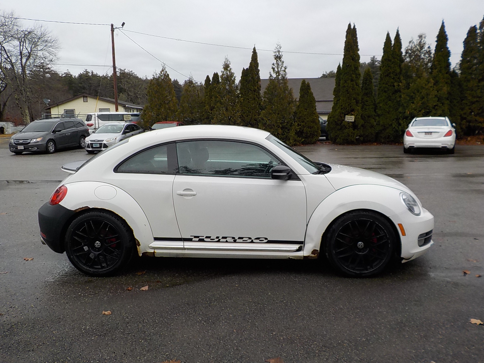 Volkswagen beetle Image 7