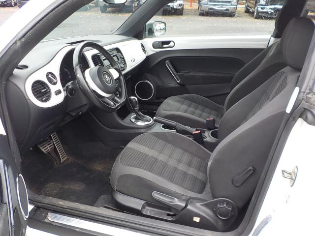 Volkswagen beetle Image 8