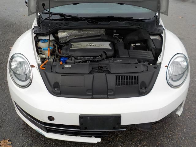 Volkswagen beetle Image 12