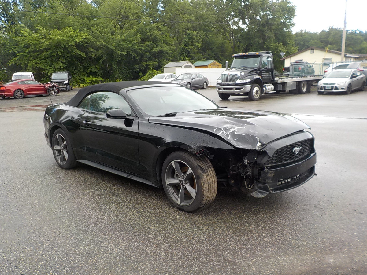 Salvage Ford Mustang Image
