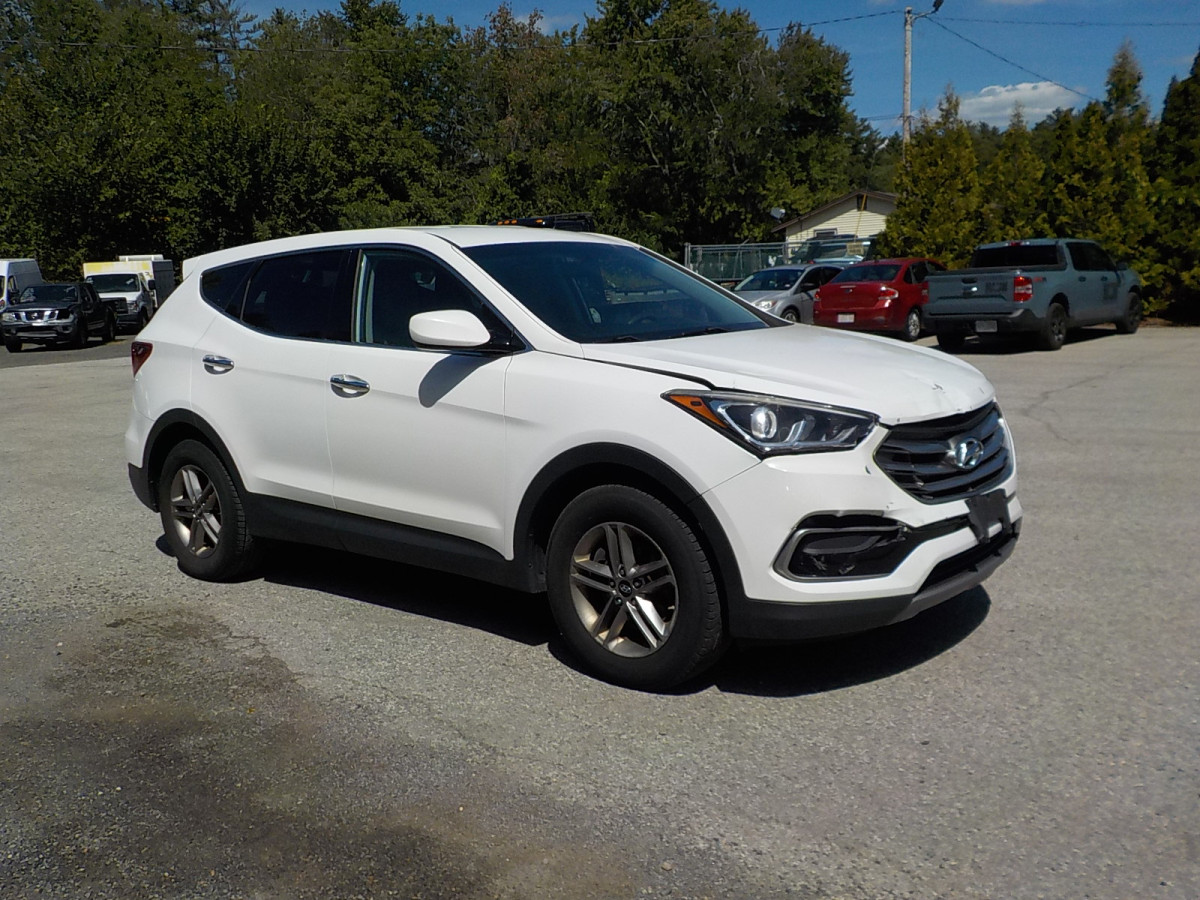 Salvage Hyundai Santa Fe Image