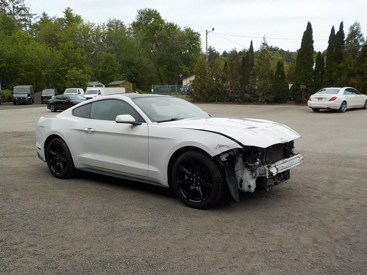 Salvage Ford Mustang Image