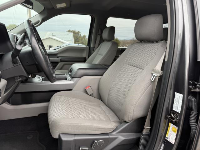 Ford F-150 XLT Image 2