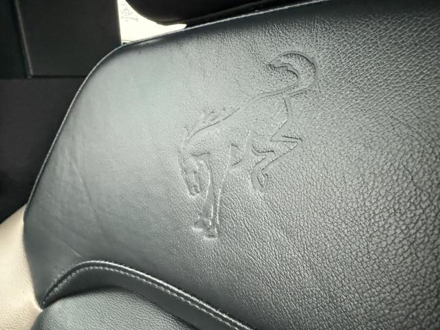 Ford Bronco Wildtrak Sasquatch Image 18