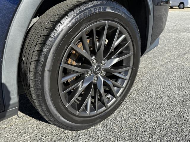 Lexus RX 350 F-Sport Image 14