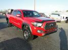 Toyota Tacoma TRD Offroad Image 12